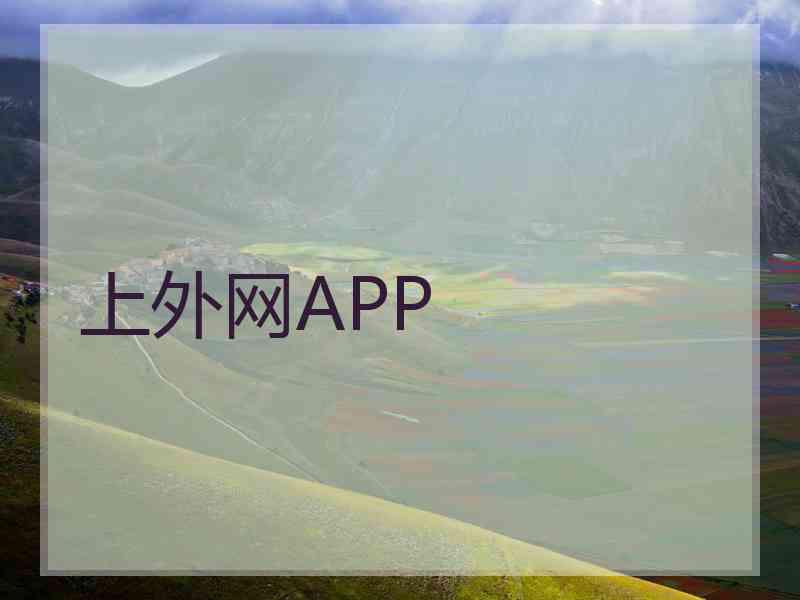 上外网APP