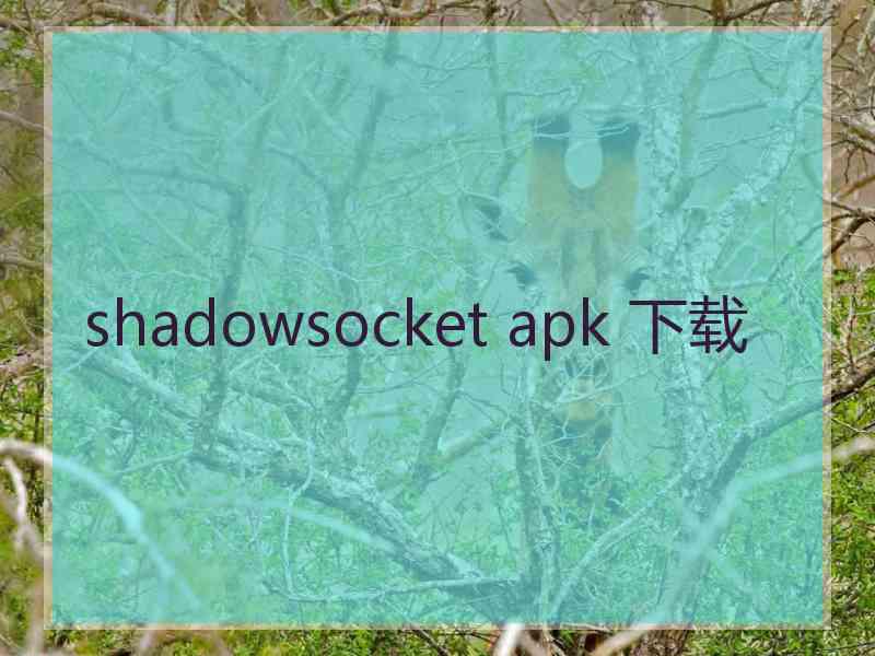 shadowsocket apk 下载