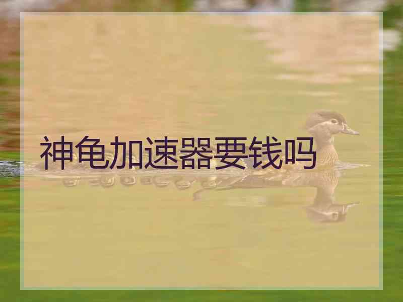 神龟加速器要钱吗
