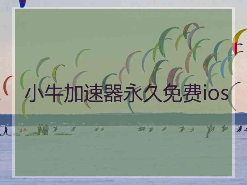 小牛加速器永久免费ios
