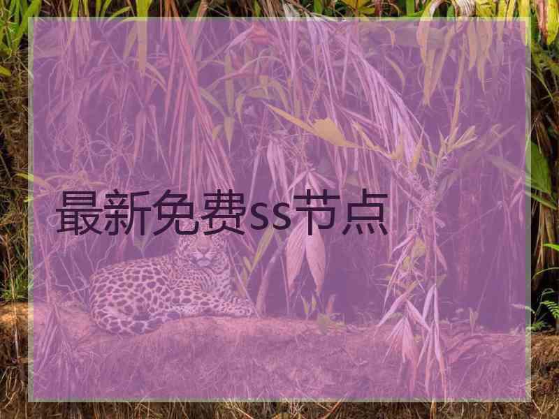 最新免费ss节点
