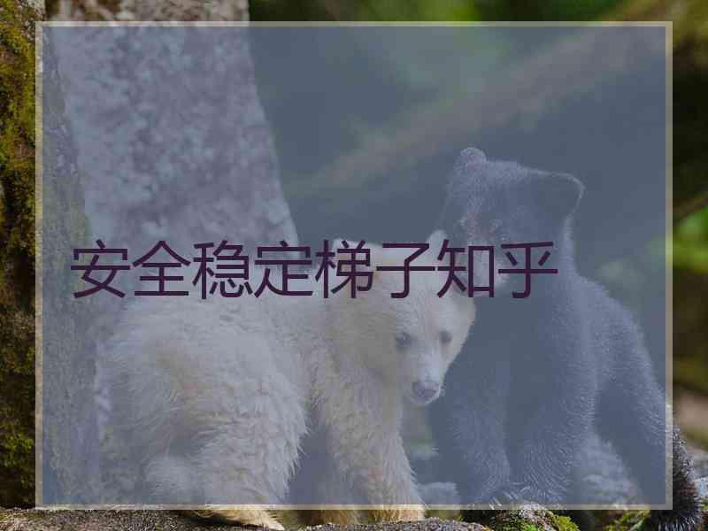 安全稳定梯子知乎