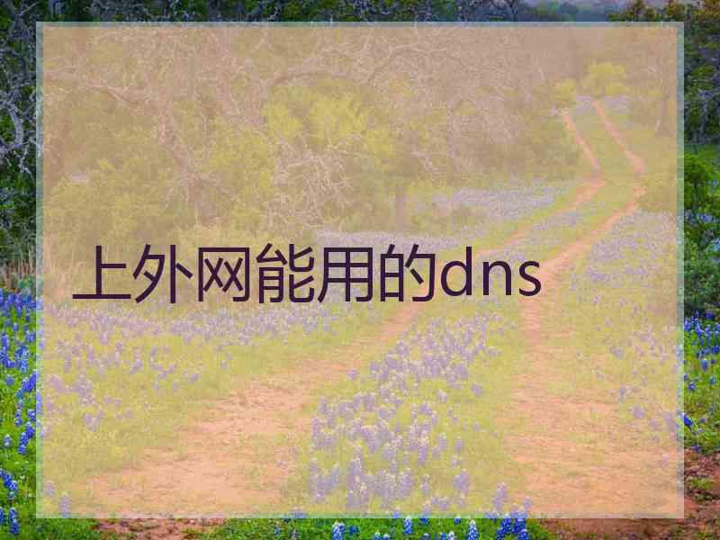 上外网能用的dns