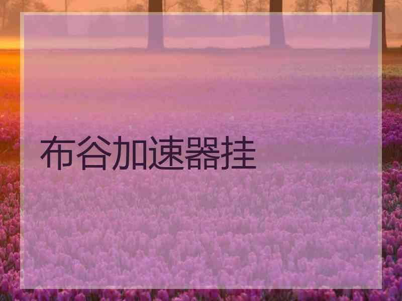 布谷加速器挂