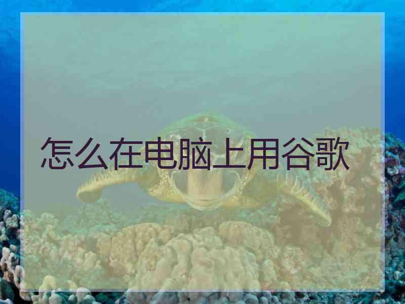 怎么在电脑上用谷歌