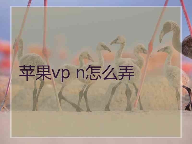 苹果vp n怎么弄