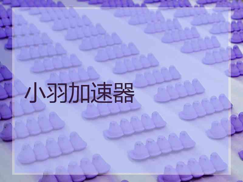 小羽加速器
