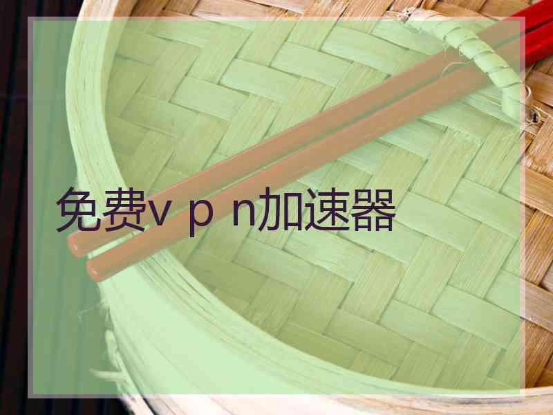 免费v p n加速器