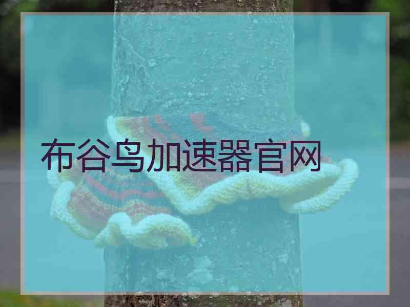 布谷鸟加速器官网