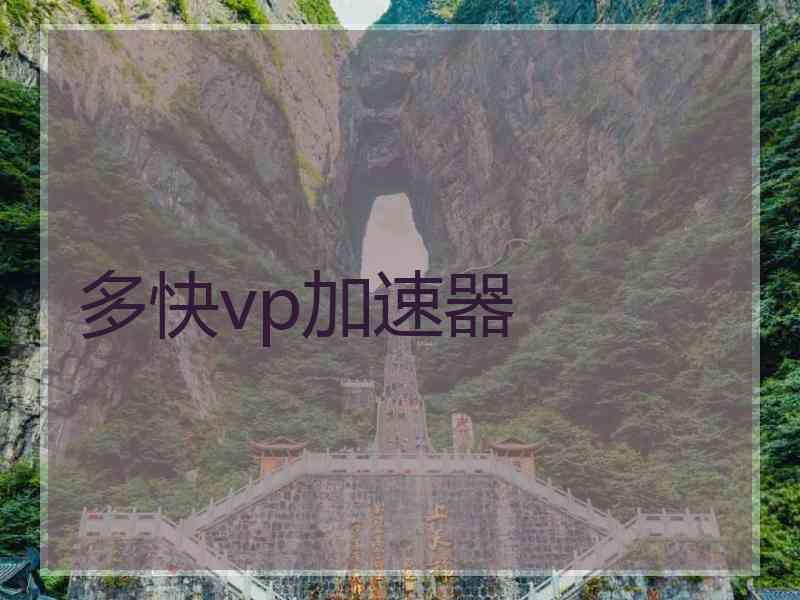 多快vp加速器