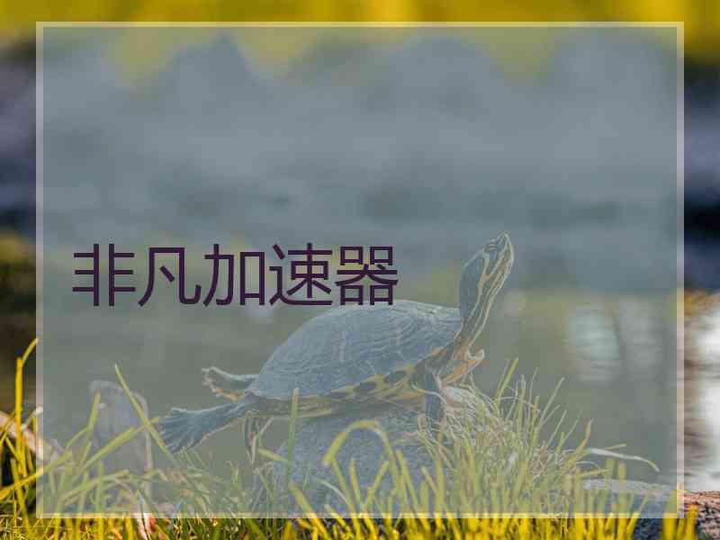 非凡加速器