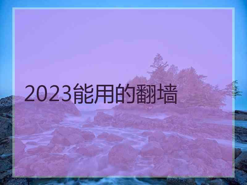 2023能用的翻墙