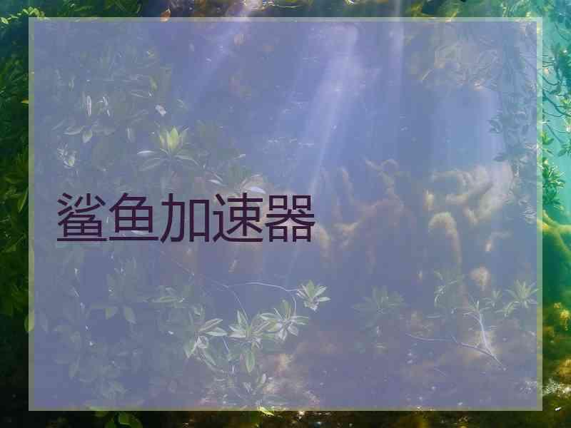 鲨鱼加速器
