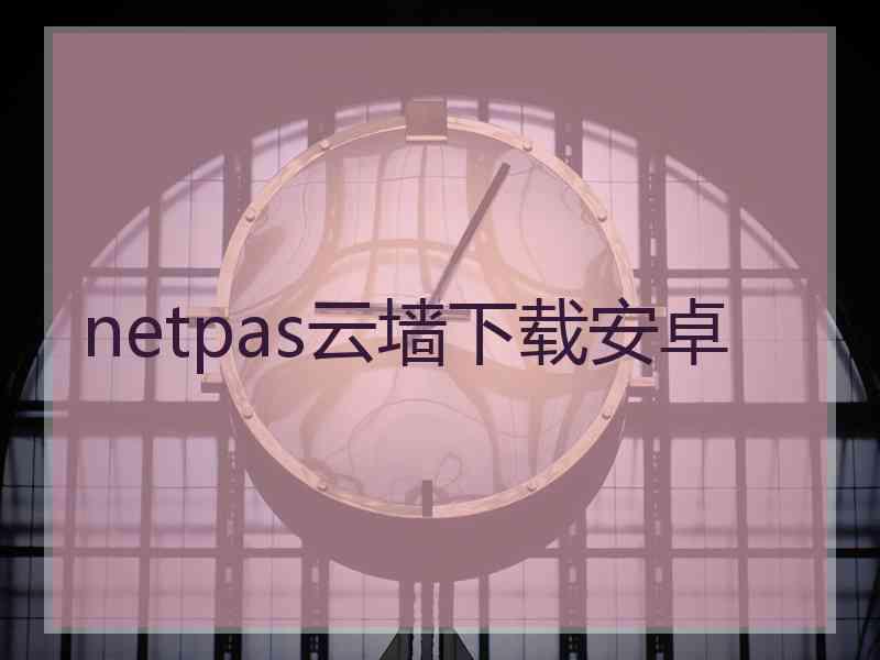 netpas云墙下载安卓