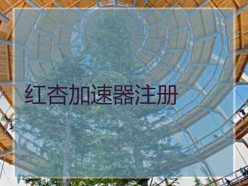 红杏加速器注册