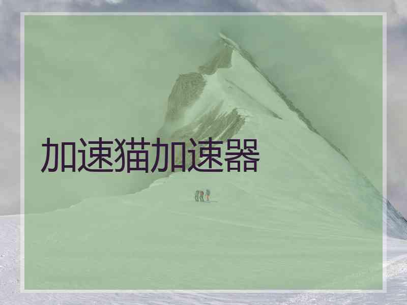加速猫加速器
