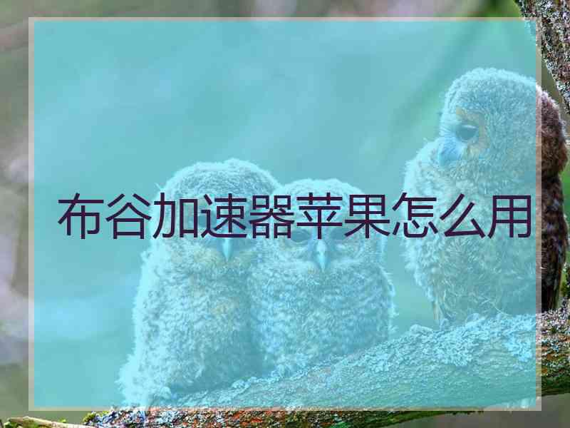 布谷加速器苹果怎么用