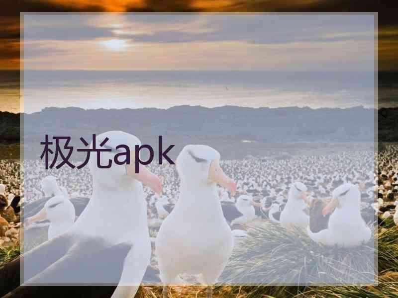 极光apk