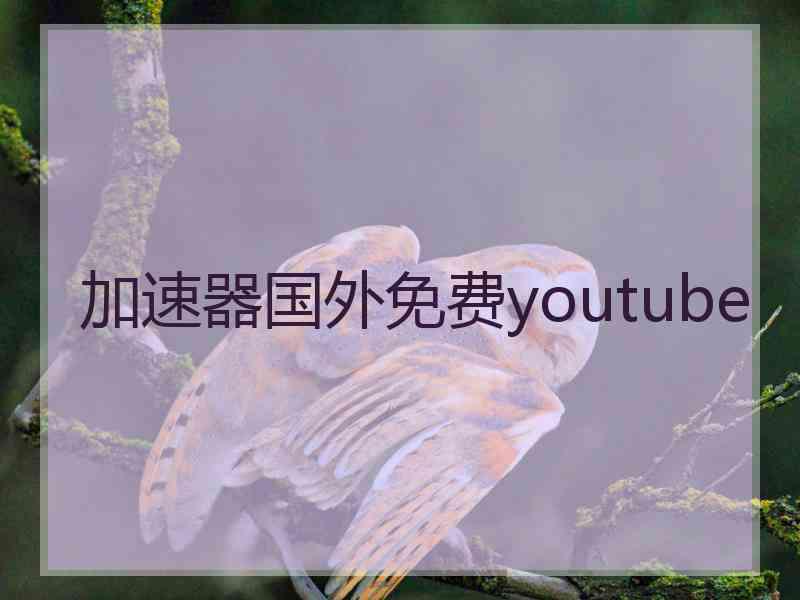 加速器国外免费youtube