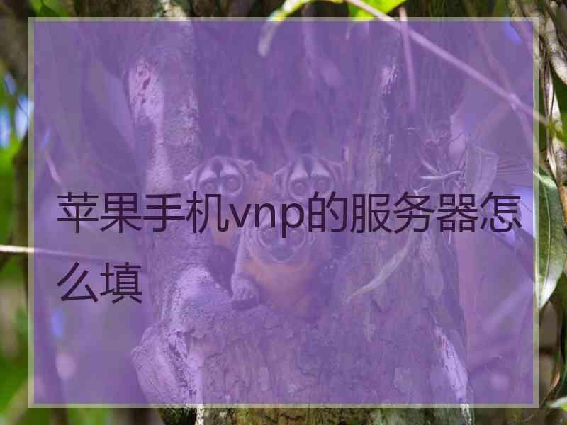 苹果手机vnp的服务器怎么填