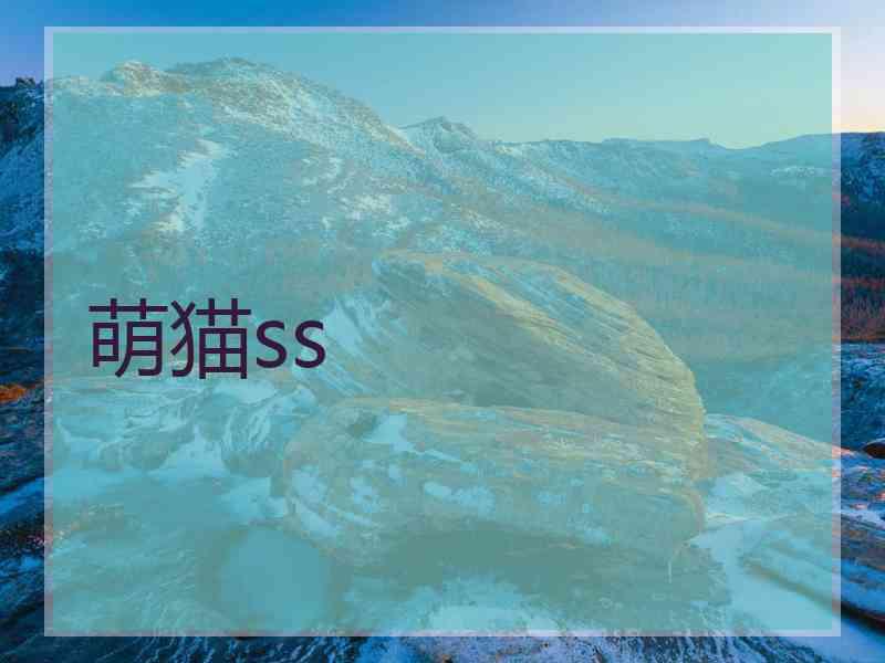 萌猫ss