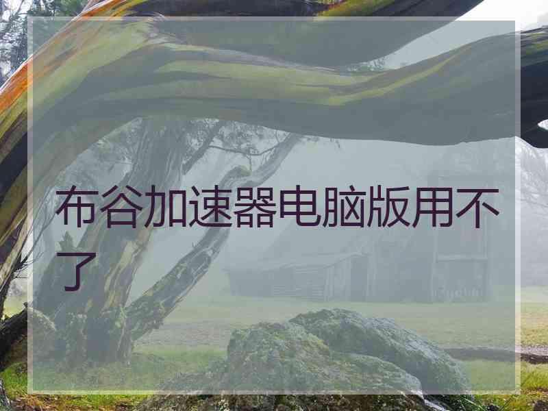 布谷加速器电脑版用不了