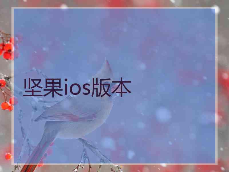 坚果ios版本