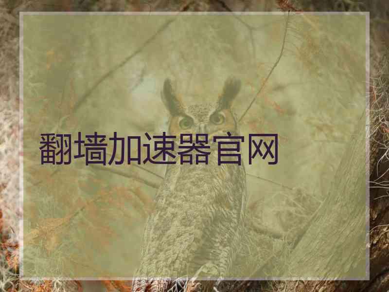 翻墙加速器官网