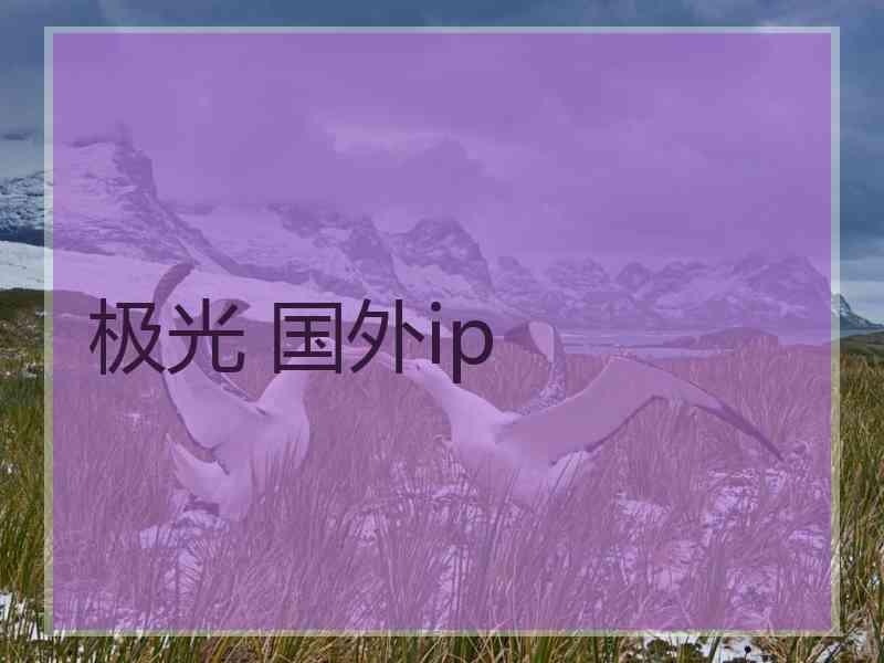 极光 国外ip