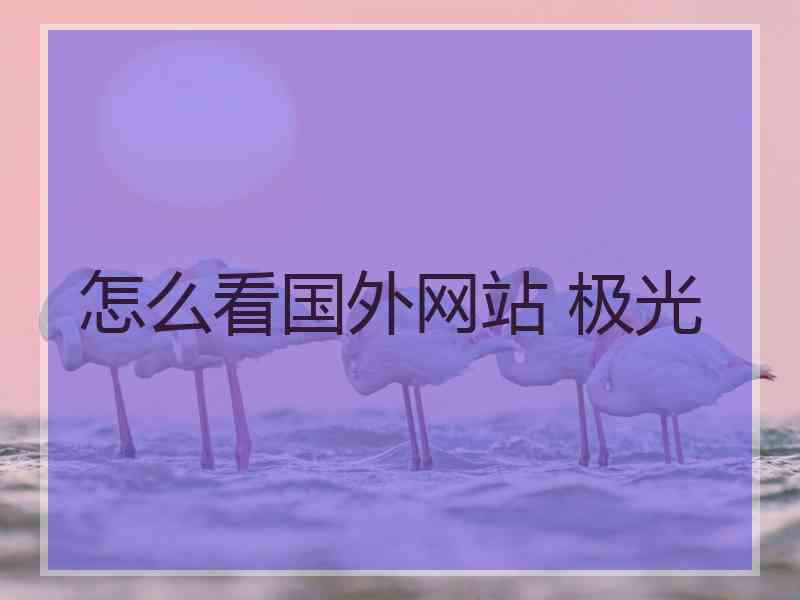 怎么看国外网站 极光