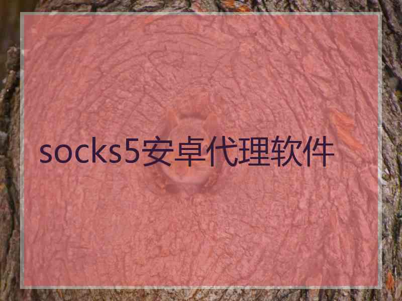 socks5安卓代理软件