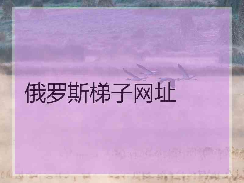 俄罗斯梯子网址