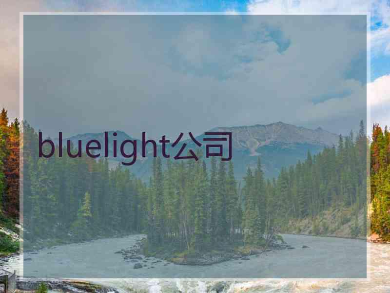 bluelight公司