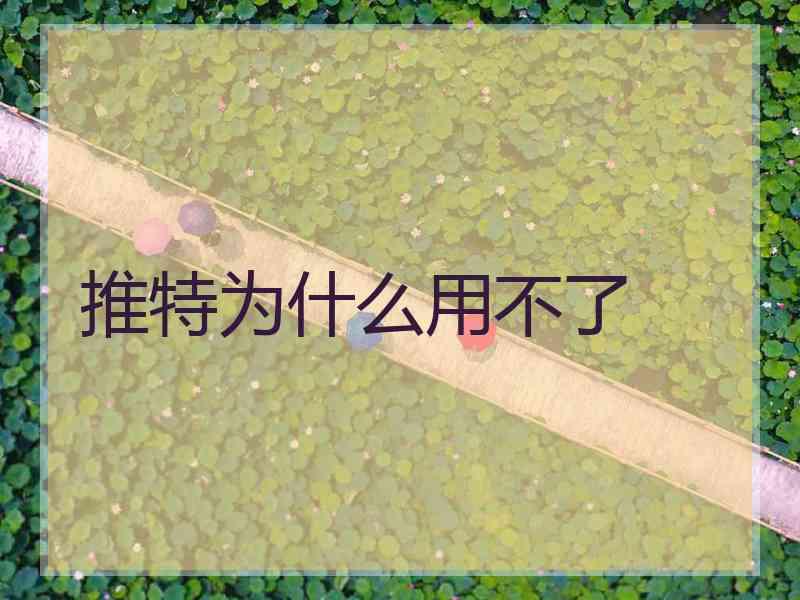推特为什么用不了