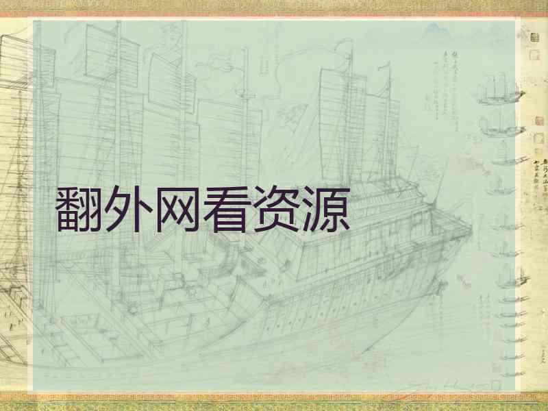 翻外网看资源