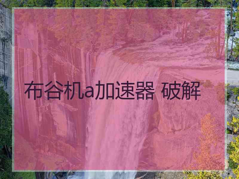 布谷机a加速器 破解