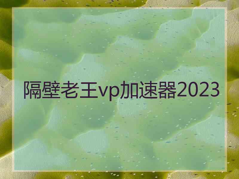 隔壁老王vp加速器2023