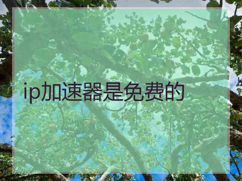 ip加速器是免费的