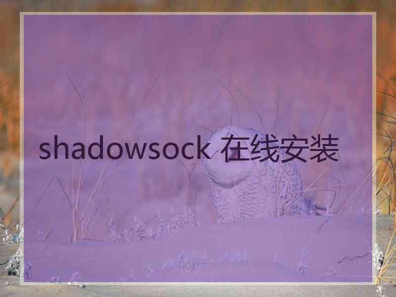 shadowsock 在线安装