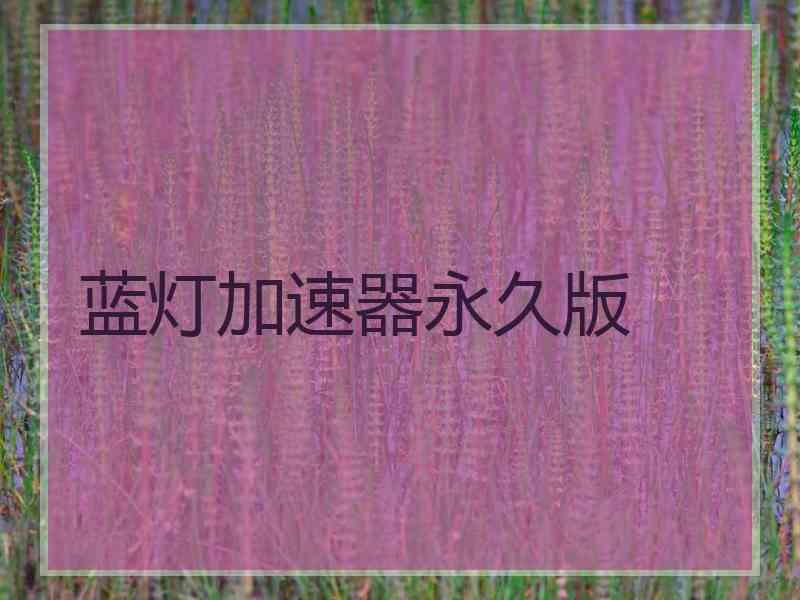蓝灯加速器永久版