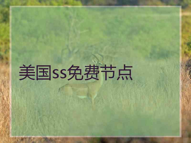 美国ss免费节点