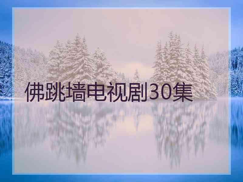 佛跳墙电视剧30集