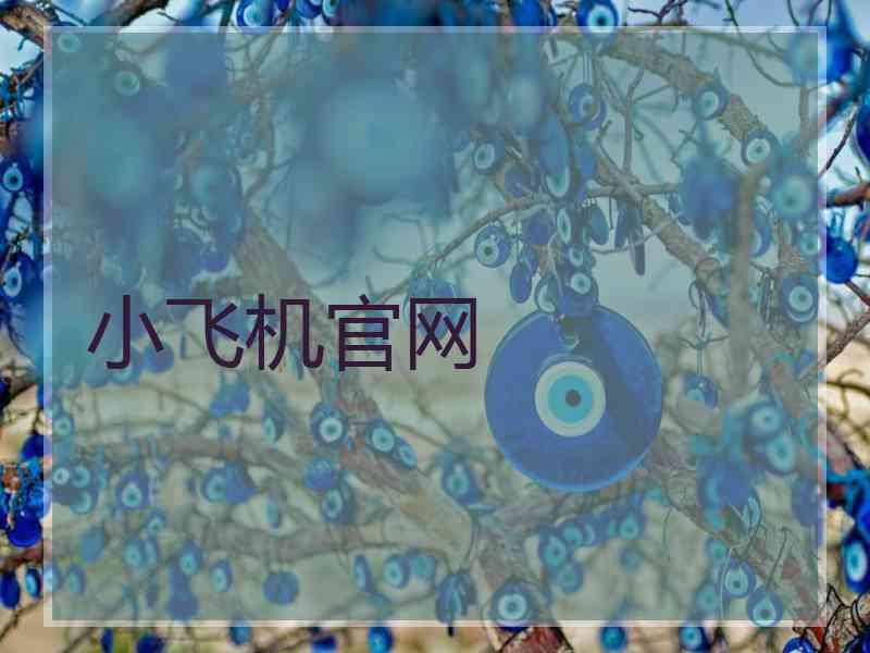 小飞机官网