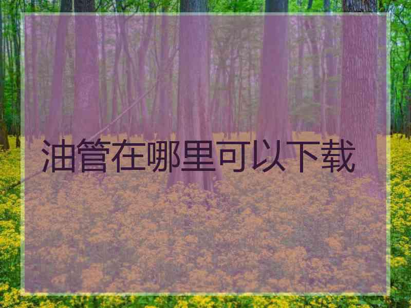 油管在哪里可以下载