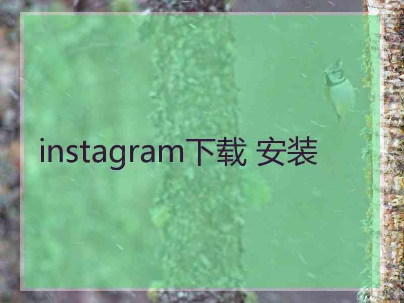instagram下载 安装