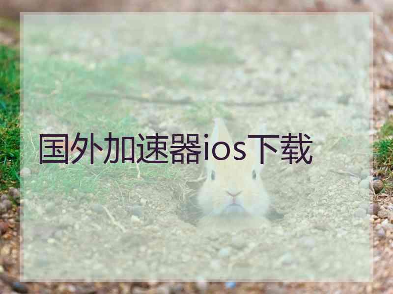 国外加速器ios下载