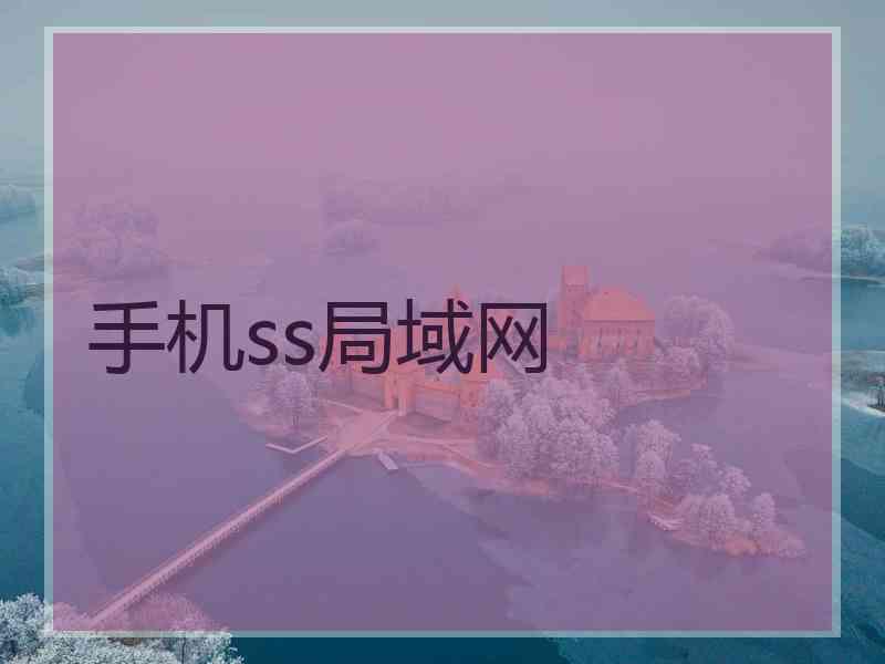 手机ss局域网