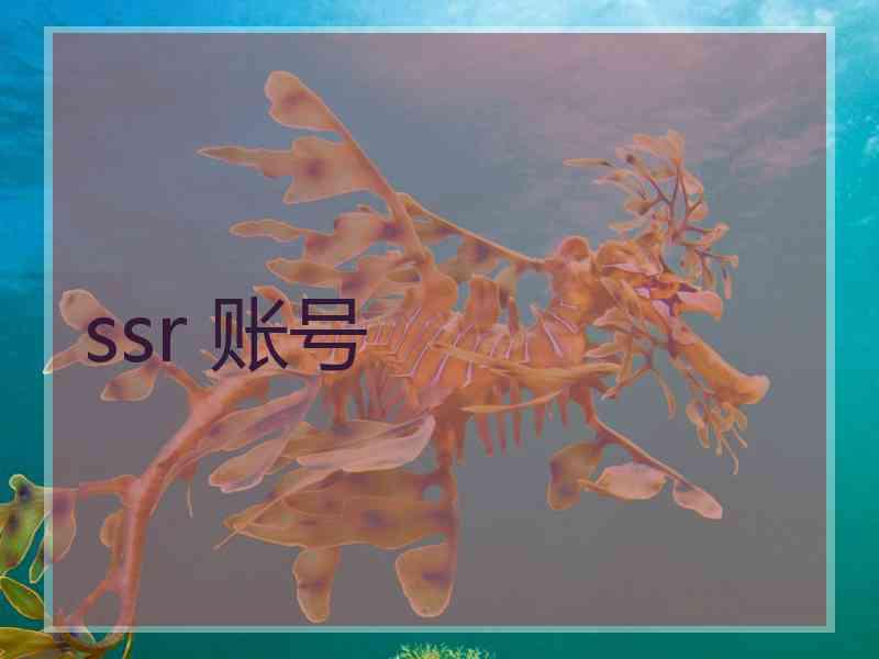 ssr 账号