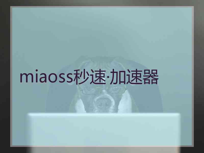 miaoss秒速·加速器