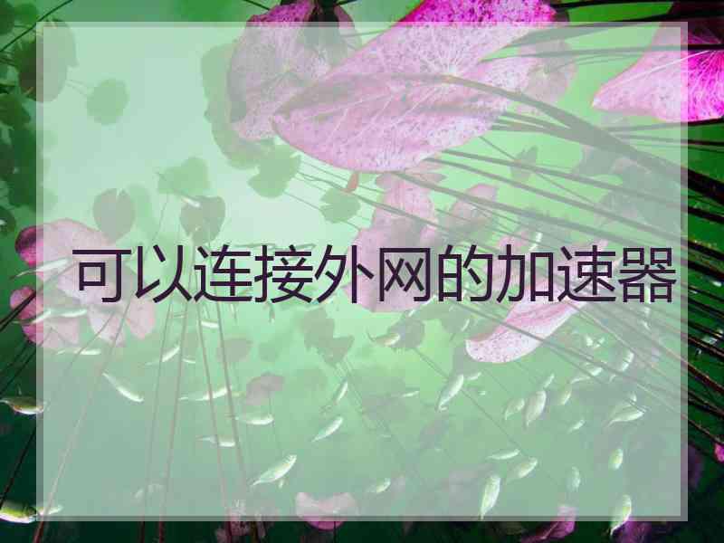 可以连接外网的加速器
